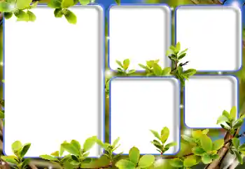 Efekt zdjęciowy z kategorii Różne № 184581 Efekt zdjęciowy z kategorii Różne № 184581