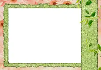 Efekt zdjęciowy z kategorii Różne № 184589 Efekt zdjęciowy z kategorii Różne № 184589