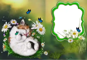 Efekt zdjęciowy z kategorii Różne № 184694 Efekt zdjęciowy z kategorii Różne № 184694