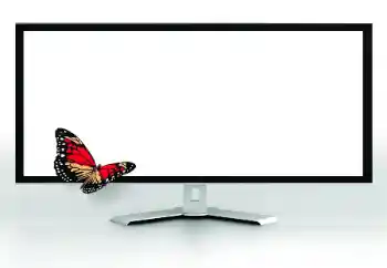 Efekt zdjęciowy z kategorii Różne № 185816 Efekt zdjęciowy z kategorii Różne № 185816