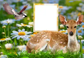 Efekt zdjęciowy z kategorii Różne № 185878 Efekt zdjęciowy z kategorii Różne № 185878