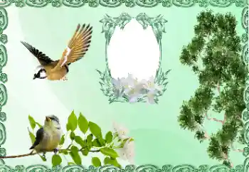 Efekt zdjęciowy z kategorii Różne № 185981 Efekt zdjęciowy z kategorii Różne № 185981