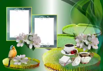 Efekt zdjęciowy z kategorii Różne № 185988 Efekt zdjęciowy z kategorii Różne № 185988