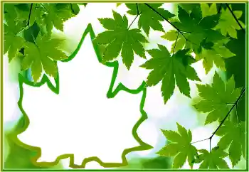 Efekt zdjęciowy z kategorii Różne № 186022 Efekt zdjęciowy z kategorii Różne № 186022