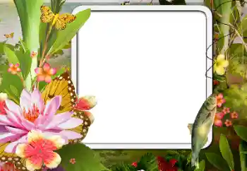 Efekt zdjęciowy z kategorii Różne № 188076 Efekt zdjęciowy z kategorii Różne № 188076