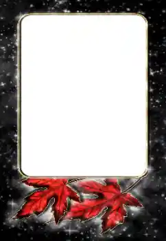 Efekt zdjęciowy z kategorii Różne № 188187 Efekt zdjęciowy z kategorii Różne № 188187