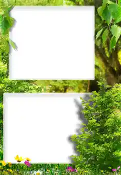 Efekt zdjęciowy z kategorii Różne № 189416