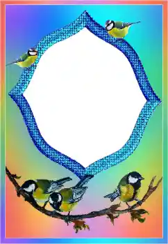 Efekt zdjęciowy z kategorii Różne № 189437 Efekt zdjęciowy z kategorii Różne № 189437