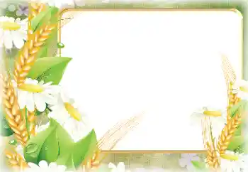 Efekt zdjęciowy z kategorii Różne № 190498 Efekt zdjęciowy z kategorii Różne № 190498