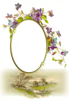 Efekt zdjęciowy z kategorii Różne № 190547 Efekt zdjęciowy z kategorii Różne № 190547