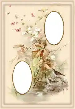 Efekt zdjęciowy z kategorii Różne № 190550 Efekt zdjęciowy z kategorii Różne № 190550