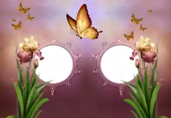 Efekt zdjęciowy z kategorii Różne № 191737 Efekt zdjęciowy z kategorii Różne № 191737