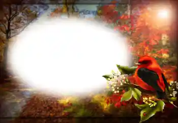 Efekt zdjęciowy z kategorii Różne № 191759 Efekt zdjęciowy z kategorii Różne № 191759