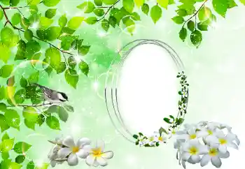 Efekt zdjęciowy z kategorii Różne № 196398 Efekt zdjęciowy z kategorii Różne № 196398