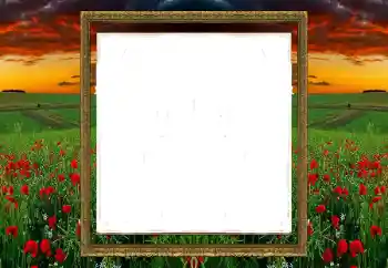 Efekt zdjęciowy z kategorii Różne № 196520 Efekt zdjęciowy z kategorii Różne № 196520