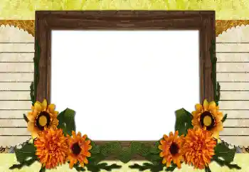 Efekt zdjęciowy z kategorii Różne № 196538 Efekt zdjęciowy z kategorii Różne № 196538