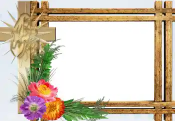 Efekt zdjęciowy z kategorii Różne № 198770 Efekt zdjęciowy z kategorii Różne № 198770