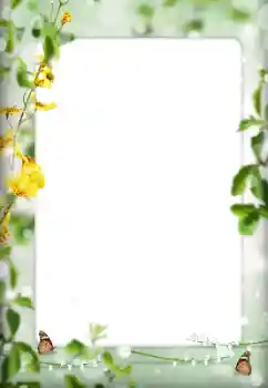 Efekt zdjęciowy z kategorii Różne № 198822 Efekt zdjęciowy z kategorii Różne № 198822