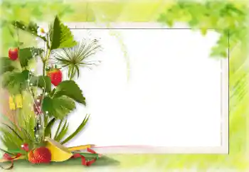 Efekt zdjęciowy z kategorii Różne № 198828 Efekt zdjęciowy z kategorii Różne № 198828