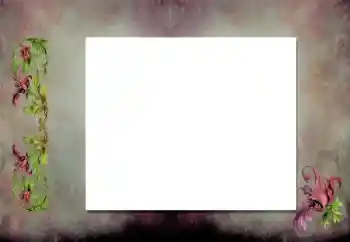 Efekt zdjęciowy z kategorii Różne № 198919 Efekt zdjęciowy z kategorii Różne № 198919