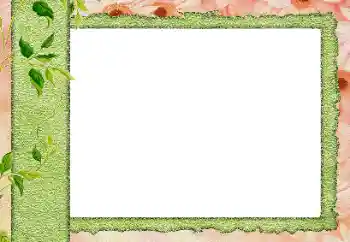 Efekt zdjęciowy z kategorii Różne № 20242