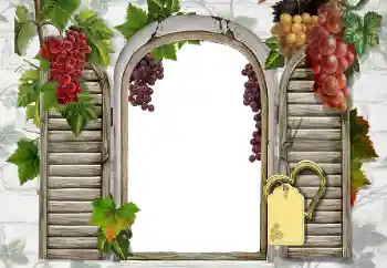 Efekt zdjęciowy z kategorii Różne № 20247