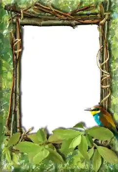 Efekt zdjęciowy z kategorii Różne № 20272