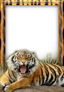 Efekt zdjęciowy z kategorii Różne № 20297