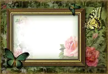 Efekt zdjęciowy z kategorii Różne № 203270 Efekt zdjęciowy z kategorii Różne № 203270