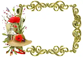 Efekt zdjęciowy z kategorii Różne № 205358 Efekt zdjęciowy z kategorii Różne № 205358