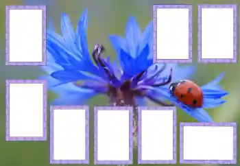 Efekt zdjęciowy z kategorii Różne № 205529 Efekt zdjęciowy z kategorii Różne № 205529