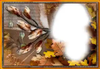 Efekt zdjęciowy z kategorii Różne № 205533 Efekt zdjęciowy z kategorii Różne № 205533