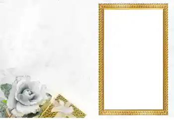 Efekt zdjęciowy z kategorii Różne № 205560 Efekt zdjęciowy z kategorii Różne № 205560