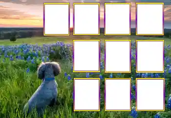 Efekt zdjęciowy z kategorii Różne № 205604 Efekt zdjęciowy z kategorii Różne № 205604