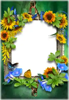 Efekt zdjęciowy z kategorii Różne № 205611 Efekt zdjęciowy z kategorii Różne № 205611