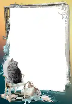 Efekt zdjęciowy z kategorii Różne № 205647 Efekt zdjęciowy z kategorii Różne № 205647