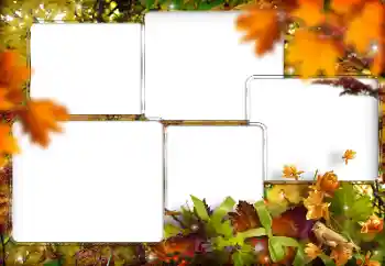 Efekt zdjęciowy z kategorii Różne № 205794 Efekt zdjęciowy z kategorii Różne № 205794