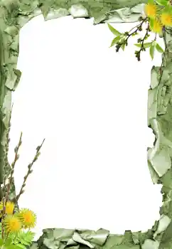 Efekt zdjęciowy z kategorii Różne № 205798 Efekt zdjęciowy z kategorii Różne № 205798