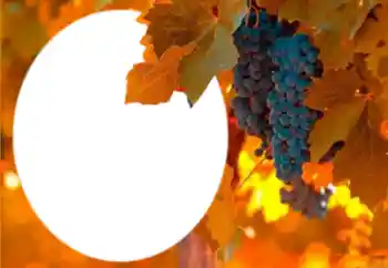 Efekt zdjęciowy z kategorii Różne № 205802 Efekt zdjęciowy z kategorii Różne № 205802