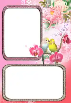 Efekt zdjęciowy z kategorii Różne № 24272