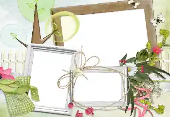 Efekt zdjęciowy z kategorii Różne № 24280