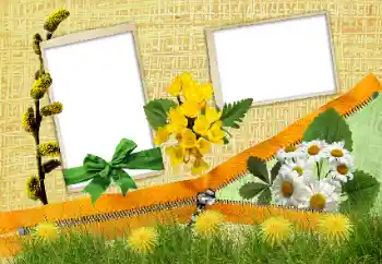 Efekt zdjęciowy z kategorii Różne № 24285