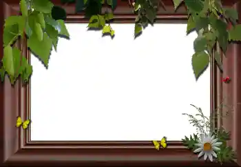 Efekt zdjęciowy z kategorii Różne № 24288