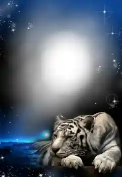 Efekt zdjęciowy z kategorii Różne № 24304