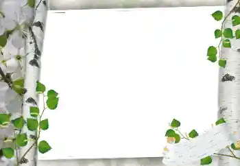 Efekt zdjęciowy z kategorii Różne № 24319