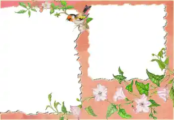 Efekt zdjęciowy z kategorii Różne № 24418