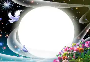 Efekt zdjęciowy z kategorii Różne № 24510