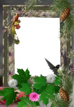 Efekt zdjęciowy z kategorii Różne № 24525