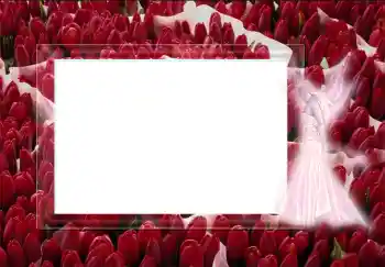 Efekt zdjęciowy z kategorii Różne № 2452