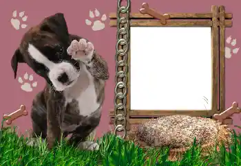 Efekt zdjęciowy z kategorii Różne № 24550